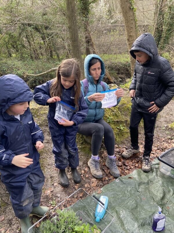 Forest School
